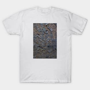 Burnt papers on soil T-Shirt